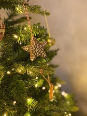 Get your trees out!!!!!