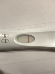 Support thread for women who are pregnant or TTC following a termination for abnormalities. Thread 7