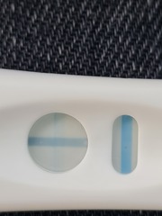 SAINSBURYS POSITIVE PREGNANCY TEST?
