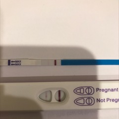 Support thread for women who are pregnant or TTC following a termination for abnormalities. Thread 7