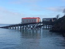 Pre-Christmas Low Carb Bootcamp - week 6 already!