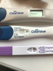 Support thread for women who are pregnant or TTC following a termination for abnormalities. Thread 7