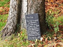 Witches were at work in Kelvingrove Park in Glasgow last night