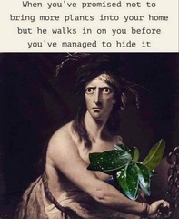 Can we have a meme thread?