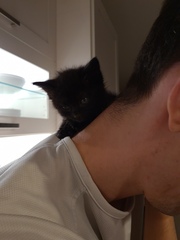 So I found something in my shed this morning...