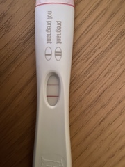 🦕 Catching up - ttc after miscarriage part 4 🦕
