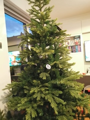 Should I buy a Balsam Hill tree?