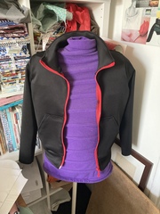 Any sewing aficionados? I need a stitch and bitch...