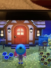 Animal crossing friends thread