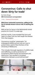 Denmark to cull up to 17 million mink due to coronavirus mutation