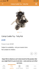 Best Cat Toys
