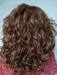 ➿ Fantastic Haircare: Making Sense and Science of the Curly Girl Method (thread 2)