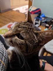 Come and tell me your dull and unexciting news 6: Calmly through the day