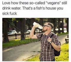 Can we have a meme thread?