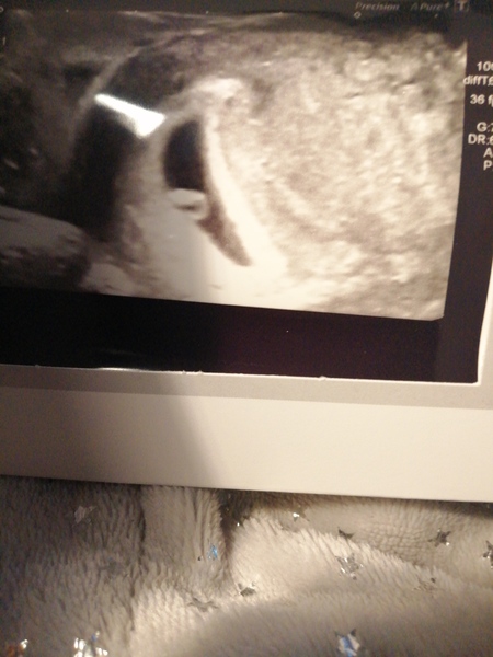 4 weeks today!