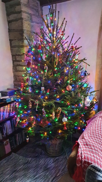 Get your trees out!!!!!