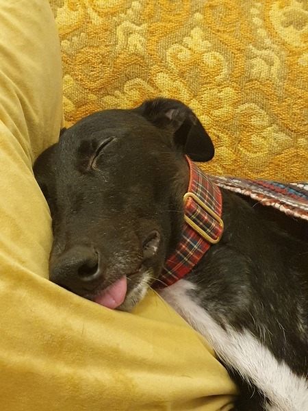 Post Pill TTC - Party Hard with a Vengeance