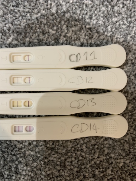 Ovulation Progression help..