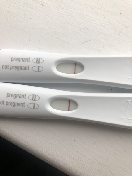 12dpo FRER