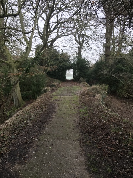 Running Thread 16