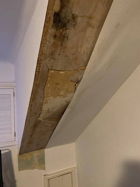 Bloody roof