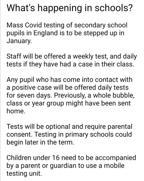 To think that if testing in secondary is optional there's no point?