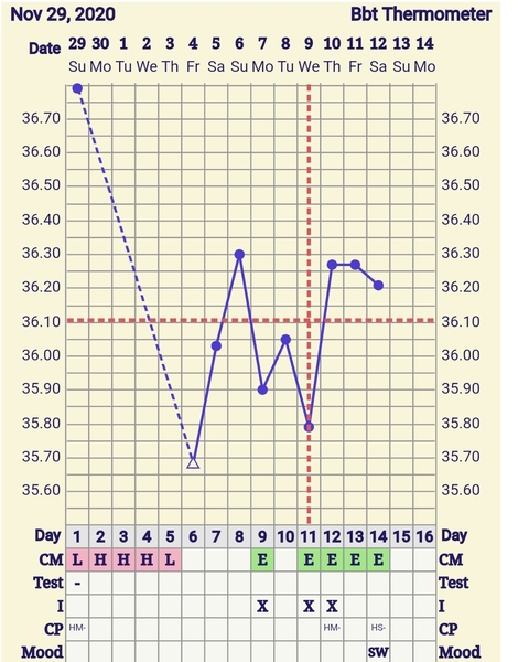 TWW for Christmas BFP, anyone else?