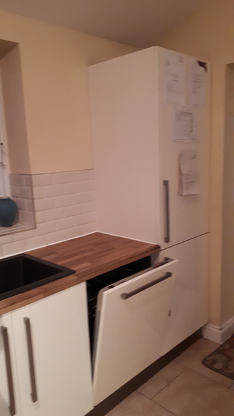built-in versus free-standing fridge/freezer?