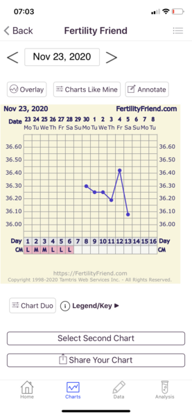 Have I ovulated?