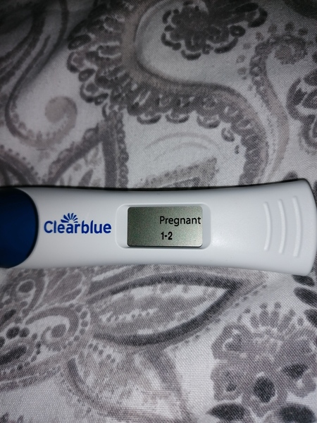 11DPO, is this an evap line?