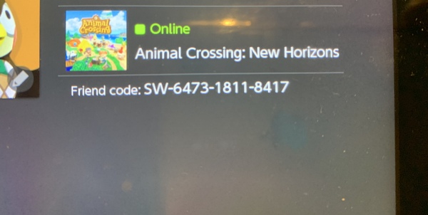 Animal Crossing New Horizons
