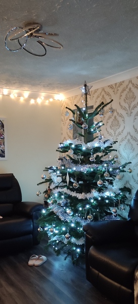 Lidl or Aldi Christmas trees