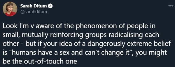 Atlantic has an article about "anti-trans feminism" and of course Mumsnet is mentioned