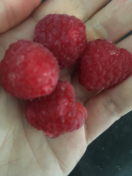 Posting pics of everything you eat thread!