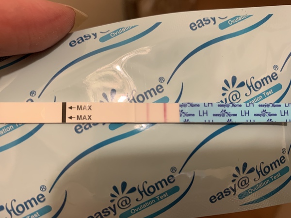 At Home Insemination - Buddies?