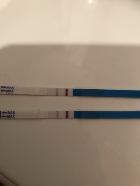 Support thread for women who are pregnant or TTC following a termination for abnormalities. Thread 7