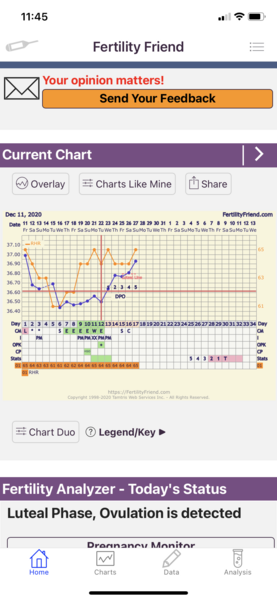 Tracking your cycle and possible BFP using RHR - part 4