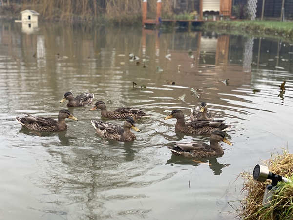 NOT what I expected to wake up to this morning...