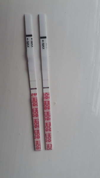 Can i see progression pregnancy tests x
