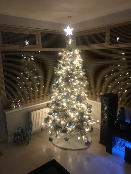 Get your trees out!!!!!