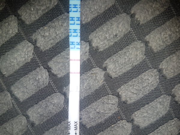 Is it true that a positive ovulation test will show a positive result if you're pregnant?