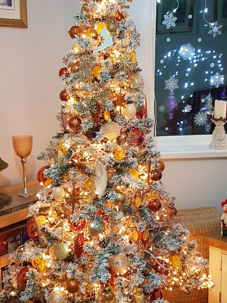 Get your trees out!!!!!