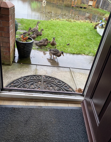 NOT what I expected to wake up to this morning...