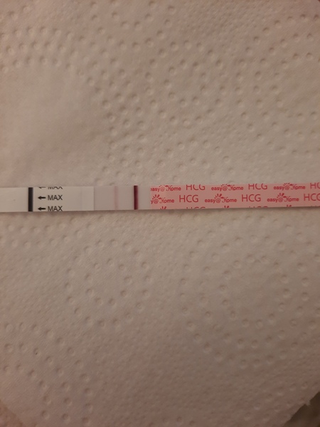 Starting TTC again after missed miscarriage part two