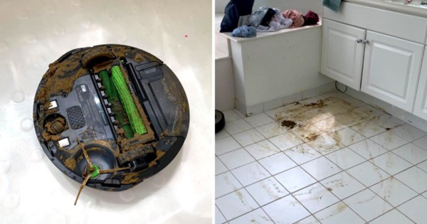 Would you be upset if you received a Hoover ( a rumba) for Christmas?