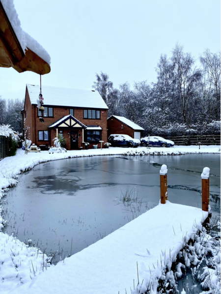 NOT what I expected to wake up to this morning...