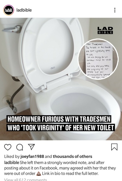 Tradesmen and toilets and toilets and tradesmen