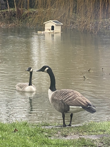 NOT what I expected to wake up to this morning...