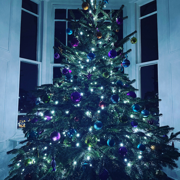 Get your trees out!!!!!