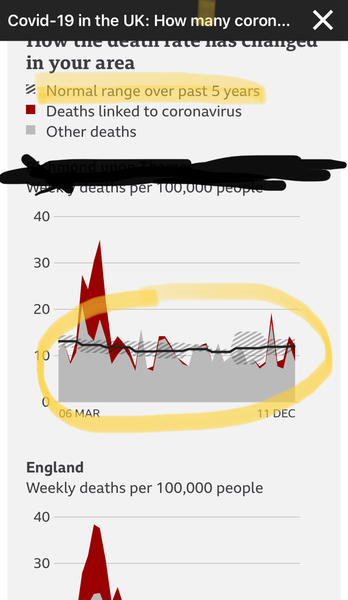 What does your case rate graph look like?